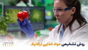 چگونه تشخیص دهیم مواد غذایی ارگانیک هستند؟ | بالسی مارکت
