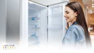 خرید یخچال فریز | بالسی مارکت