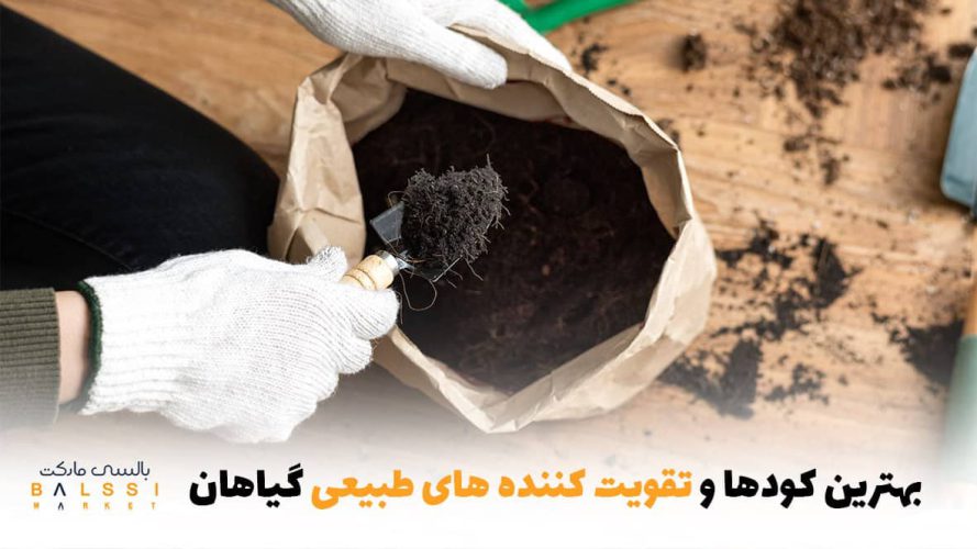 بهترین کود و تقویت‌کننده‌های طبیعی برای گیاهان | بالسی مارکت