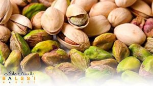 پسته کله قوچی، پسته ایرانی | بالسی مارکت