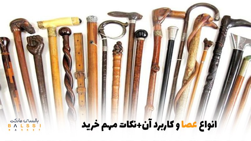 انواع عصا و کاربرد آن | بالسی مارکت