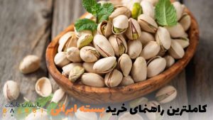کاملترین راهنمای خرید پسته ایرانی | بالسی مارکت
