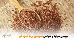 بررسی فواید و خواص سبوس برنج قهوه‌ای | بالسی مارکت