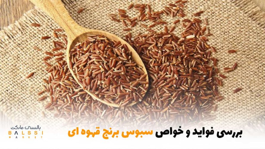 بررسی فواید و خواص سبوس برنج قهوه‌ای | بالسی مارکت