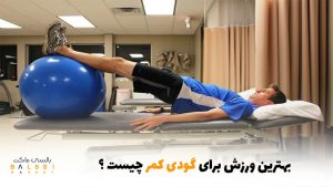 بهترین ورزش برای گودی کمر چیست؟ | بالسی مارکت
