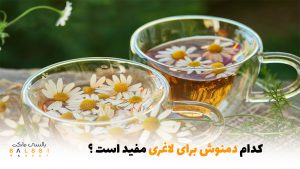 کدام دمنوش برای لاغری مفید است | بالسی مارکت