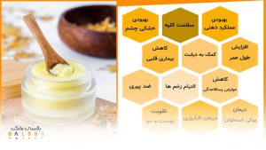عکس ژل رویال و خواص شگفت‌انگیز ژل رویال | بالسی مارکت