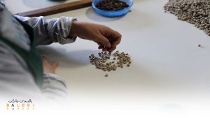 عکس قلات خام | بالسی مارکت