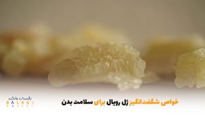 خواص شگفت‌انگیز ژل رویال برای سلامت بدن | بالسی مارکت