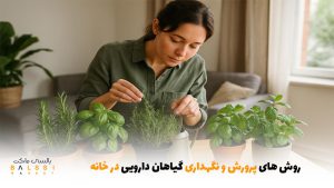 روش‌های پرورش و نگهداری گیاهان دارویی در خانه | بالسی مارکت