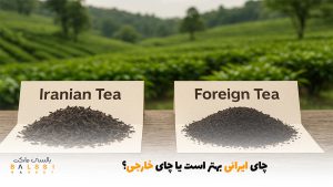 چای ایرانی بهتر است یا چای خارجی؟ | بالسی مارکت