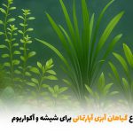 اسامی انواع گیاهان آبزی آپارتمانی برای شیشه و آکواریوم | بالسی مارکت