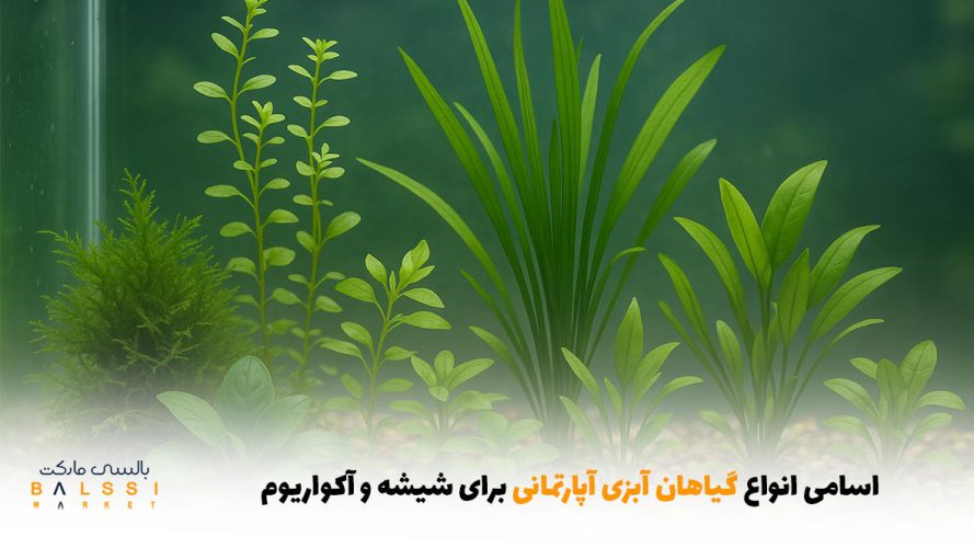 اسامی انواع گیاهان آبزی آپارتمانی برای شیشه و آکواریوم | بالسی مارکت