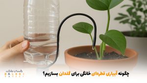چگونه آبیاری قطره‌ای خانگی برای گلدان بسازیم؟ | بالسی مارکت