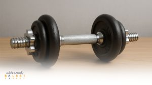 دمبل پیچشی یا اسپین‌لاک (Spin-Lock Dumbbells) | بالسی مارکت