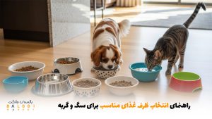 راهنمای انتخاب ظرف غذای مناسب برای سگ و گربه | بالسی مارکت