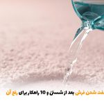 بررسی علت سفت شدن فرش بعد از شستن و 10 راهکار برای رفع آن | بالسی مارکت