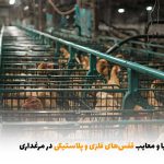 بررسی مزایا و معایب قفس‌های فلزی و پلاستیکی در مرغداری | بالسی مارکت