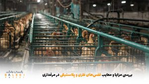 بررسی مزایا و معایب قفس‌های فلزی و پلاستیکی در مرغداری | بالسی مارکت