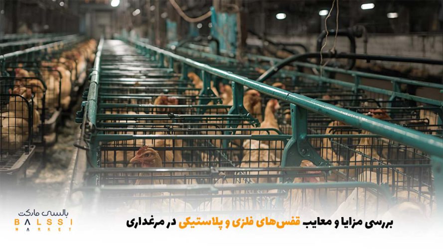 بررسی مزایا و معایب قفس‌های فلزی و پلاستیکی در مرغداری | بالسی مارکت