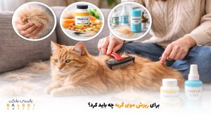 برای ریزش موی گربه چه باید کرد؟ | بالسی مارکت