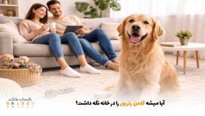 آیا میشه گلدن رتریور را در خانه نگه داشت؟ | بالسی مارکت