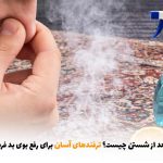 علت بو دادن فرش بعد از شستن جیست؟ ترفندهای آسان برای رفع بوی بد فرش | بالسی مارکت